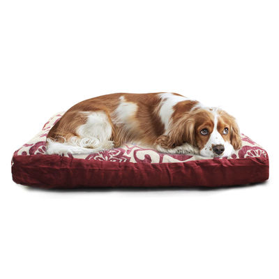 Mewah Tahan Lama Rumah Anjing Tikar Hewan Peliharaan Anjing Besar Yang Dapat Dilepas Penutup Lain Gratis Sarung Bantal Bernapas Nyaman Mat