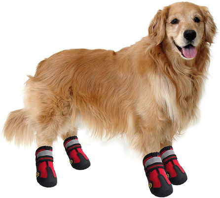 Opp Bag Dog Walking Boots Untuk Anjing Dengan Strip Reflektif Kasar Anti Slip Sole