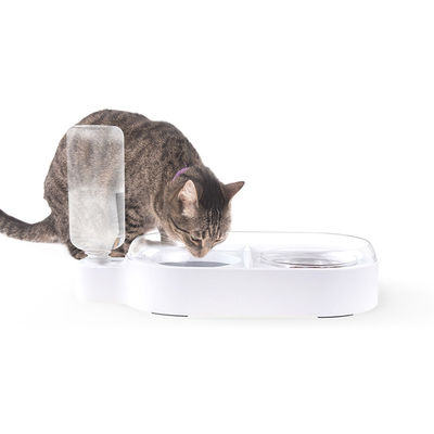 Profesional Otomatis Terisolasi Strake Spill Proof Dog Bowl 2 mangkuk pengumpan anjing