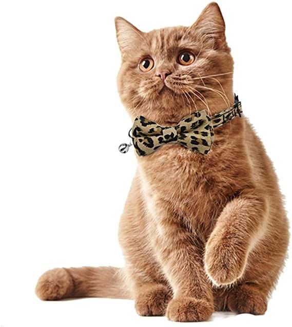 Breakaway Buckle Cat Collar Bells Dengan Dasi Kupu-kupu Lucu Untuk Anjing Kecil Kitty Dapat Disesuaikan