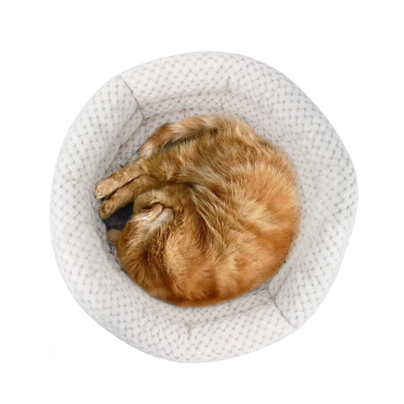 2021 Grosir Cuddle Cup Bentuk Tempat Tidur Kucing dan Anjing Tempat Tidur Hewan Peliharaan dengan Dinding Tinggi untuk Rumah Hewan Peliharaan yang Dapat Dicuci Tidur nyenyak