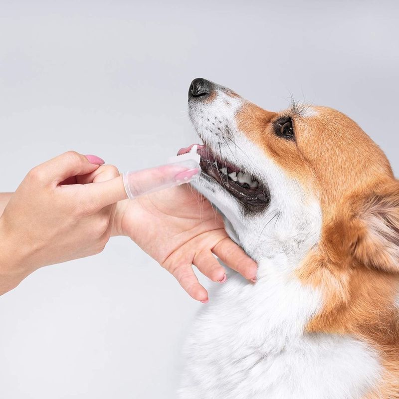 Alat Pembersih Anjing Bulu Silikon Pembersih Gigi Anjing Perawatan Mulut Sikat Gigi Jari Hewan Peliharaan