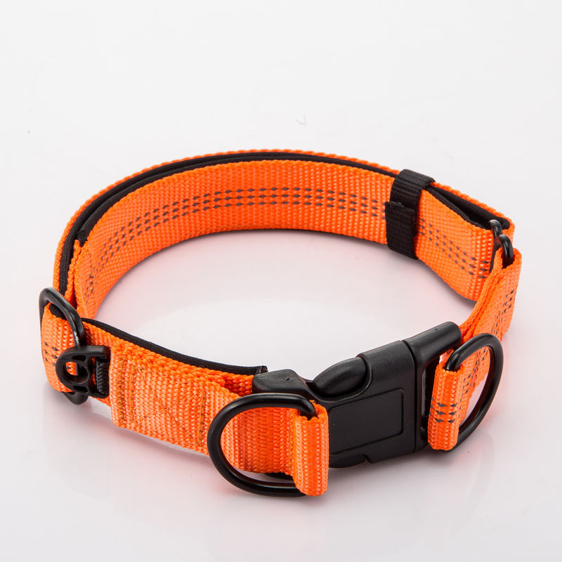 Adjustable Double D Buckles Dog Collar Dan Leash Set Chain Dog Nylon Lead Reflektif