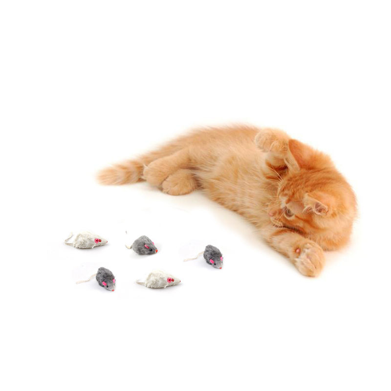 Halloween Hadiah Unik Bicolourable Mini Mouse Cat Toy Set Dengan Suara
