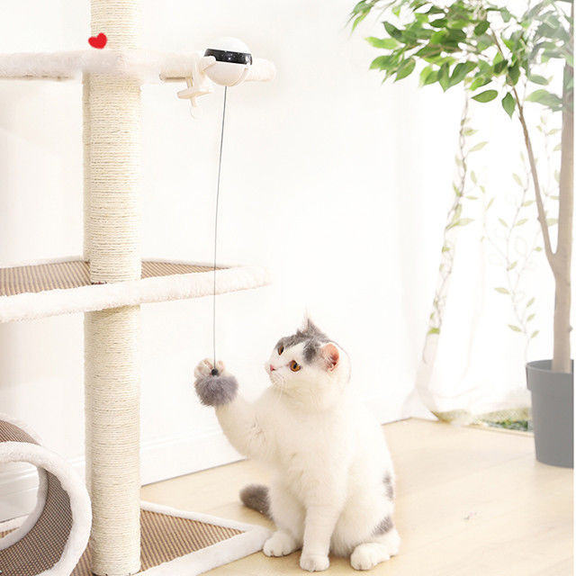 Interaktif Elektronik Auto Lift Ball Cat Pet Toys Tongkat Lucu Cat Teaser Toy