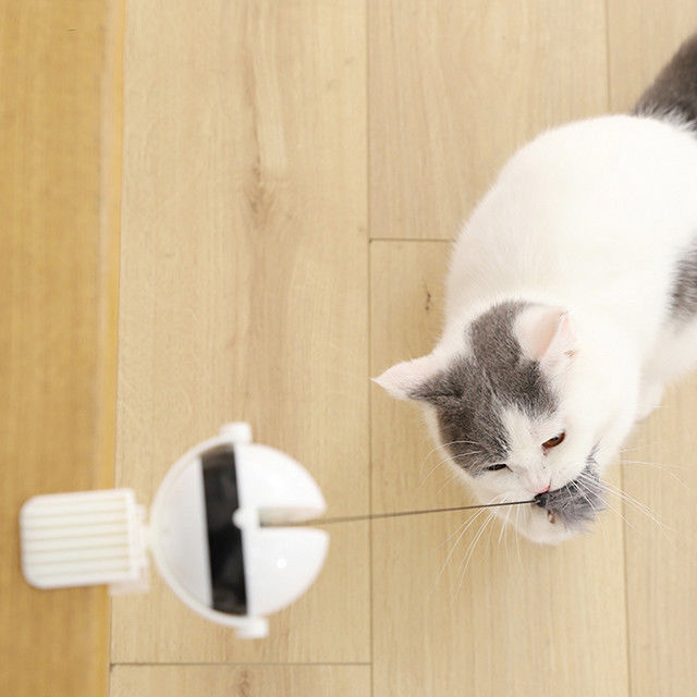 Interaktif Elektronik Auto Lift Ball Cat Pet Toys Tongkat Lucu Cat Teaser Toy