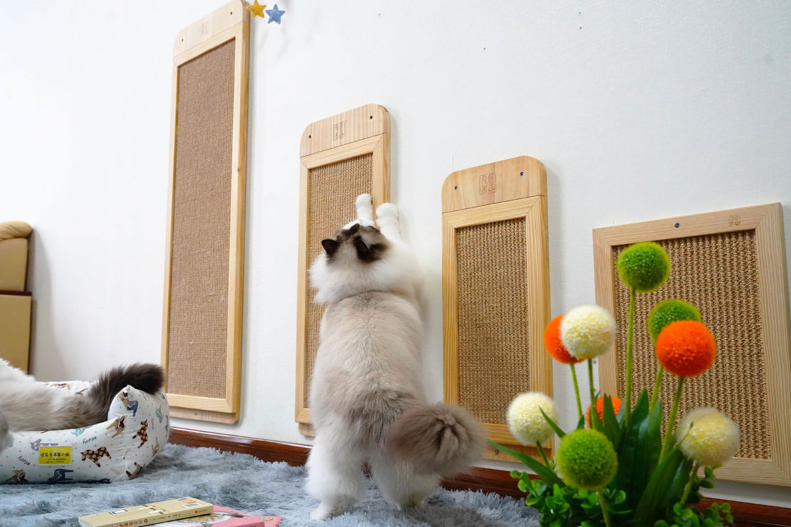 Tahan Lama Sisal Wall Mounted Cat Scratcher Post Place Lantai 40*30cm 30*76cm 40*120cm