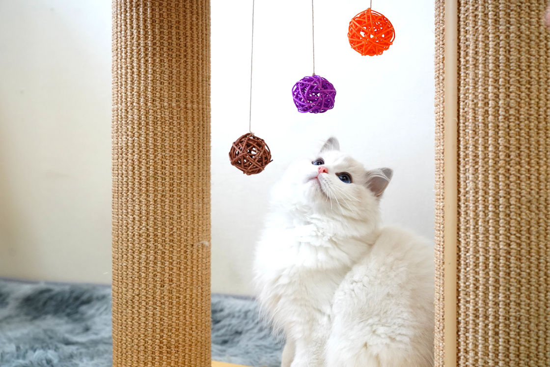 Pohon Papan Gores Kucing Lapisan Ganda Padat 60 * 30 * 63cm