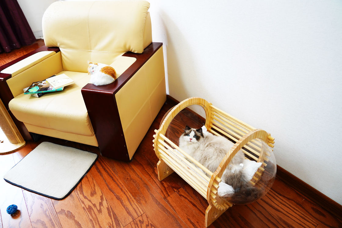 Rumah Tempat Tidur Kucing Kayu Kapsul Dengan Jendela