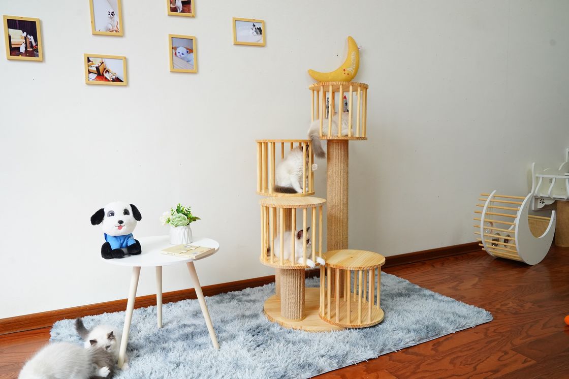 Rumah Tahan Lama Kitten Cat Climbing Tree Tower Condo Dengan Scratching Posts