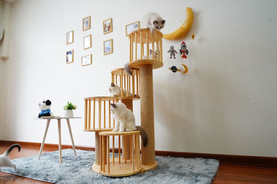 Rumah Tahan Lama Kitten Cat Climbing Tree Tower Condo Dengan Scratching Posts