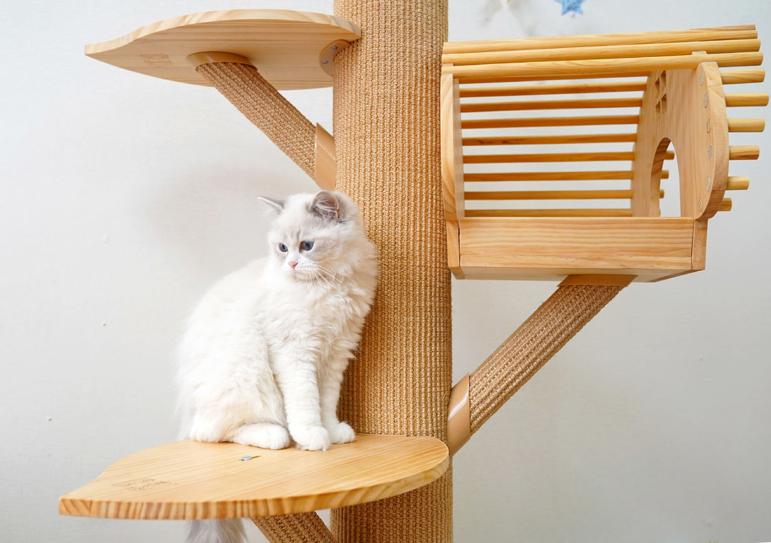 123cm Menara Aktivitas Kucing Kayu Kayu Solid Besar Memanjat Dengan Tulisan Menggaruk