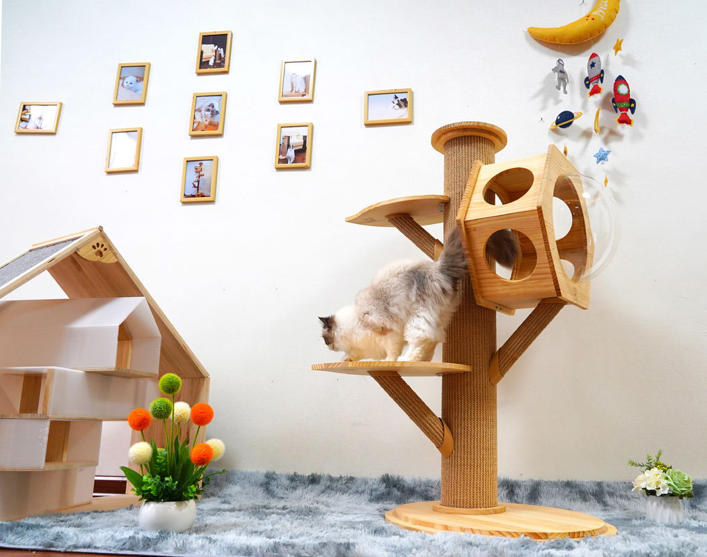 Mewah Hexagon Kayu Pet Bed Cave Cat Climbing Tower Dengan Kapsul Luar Angkasa