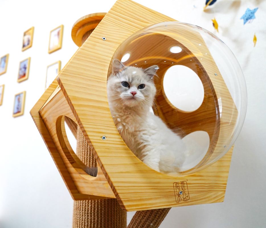 Mewah Hexagon Kayu Pet Bed Cave Cat Climbing Tower Dengan Kapsul Luar Angkasa