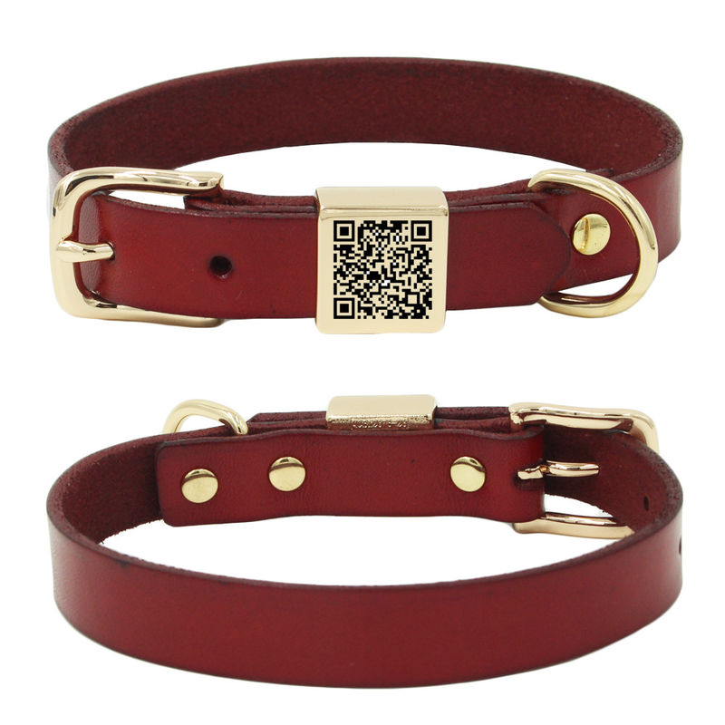 Terukir Alloy Square Collar Leash Harness Set Kerah Anjing Kerah Kulit Sapi