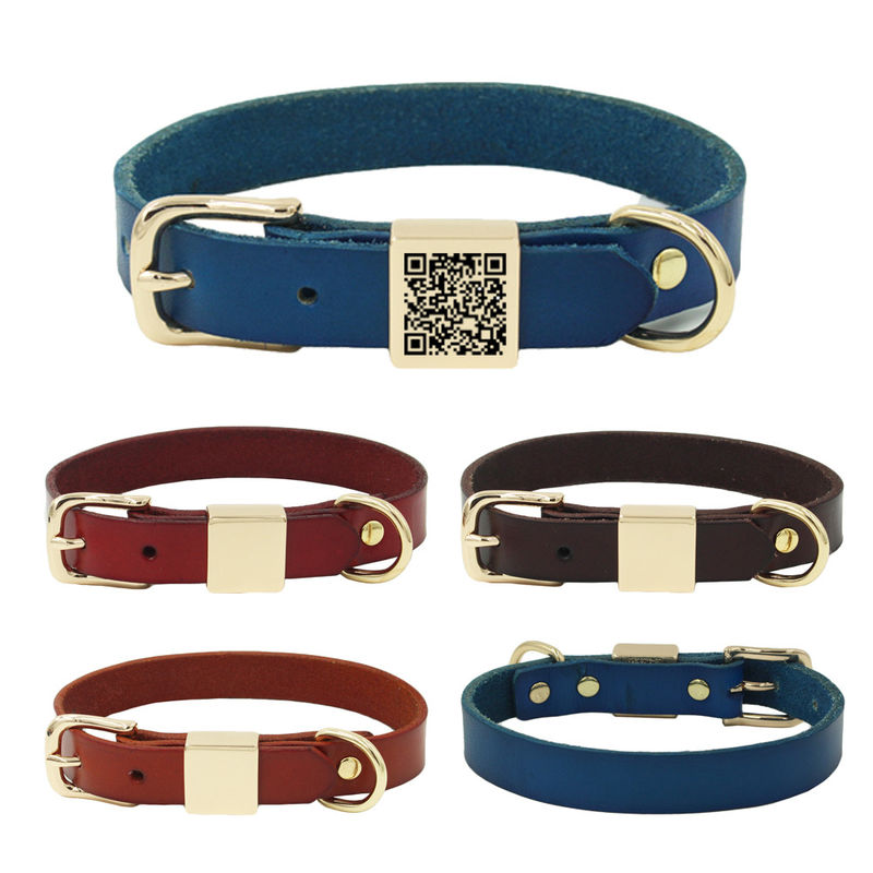 Terukir Alloy Square Collar Leash Harness Set Kerah Anjing Kerah Kulit Sapi