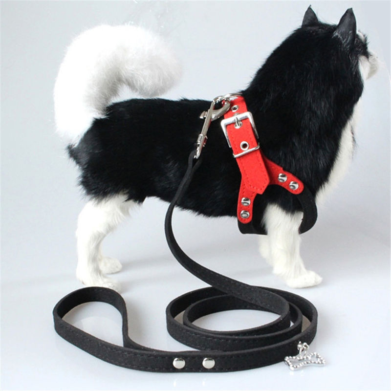 Hallupet Soft Mesh Padded Collar Leash Harness Set Dada Anjing Dan Traksi Punggung