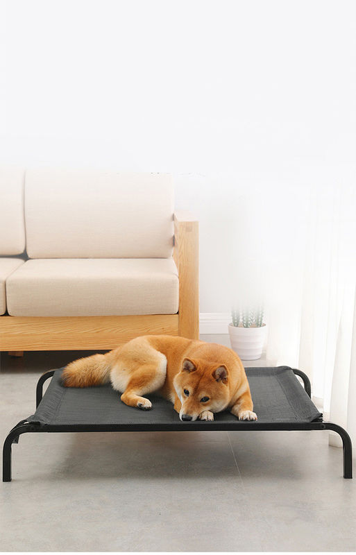 Tabung Baja Ukuran Besar Lipat Tempat Tidur Hewan Peliharaan yang Nyaman Tempat tidur anjing yang ditinggikan Dengan Bantal Mewah yang Menebal