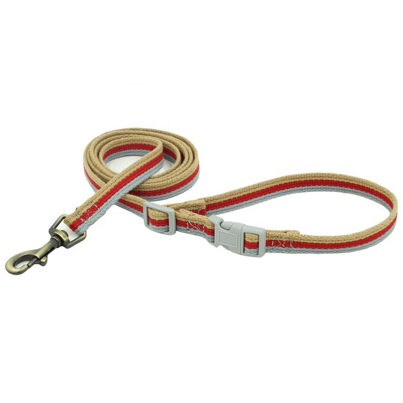 Engraved Bronze Alloy Buckle Rope Dog Leash 3 Warna Anyaman Kerah Dan Set Tali