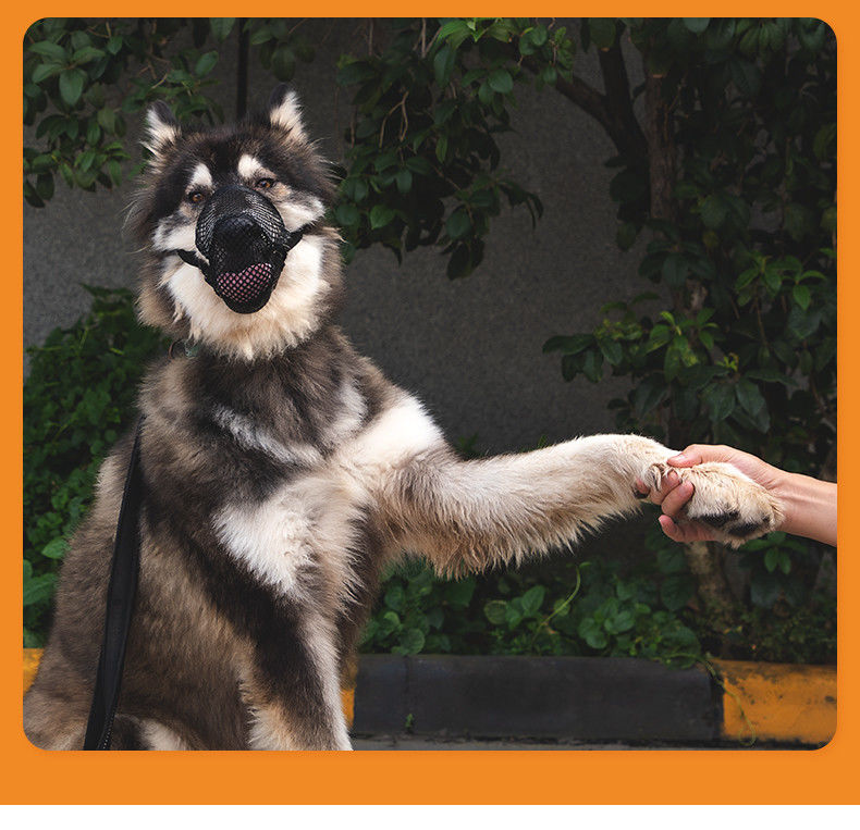 Anti-misfeeding Tahan Lama Dapat Disesuaikan Kualitas Tinggi Bernapas Anjing Moncong Nyaman Penutup Mulut Anjing
