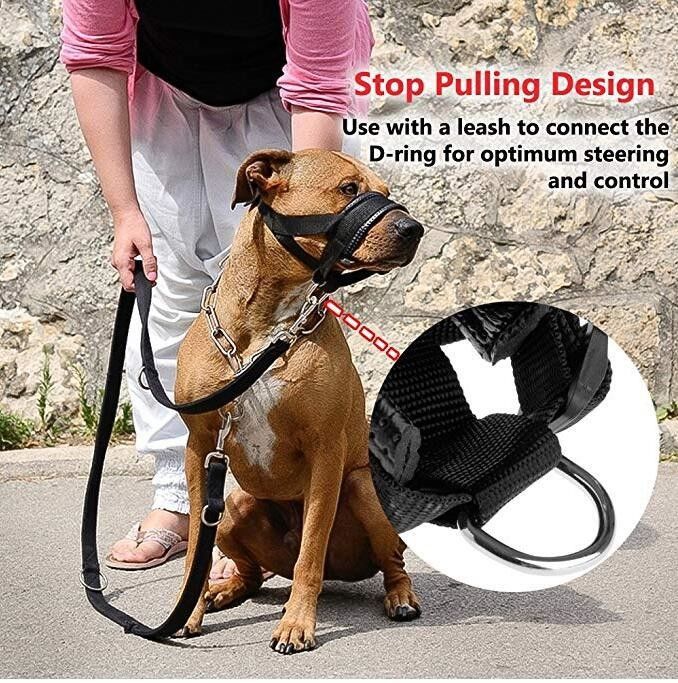 Nylon Dog Moncong Collar Leash Harness Set Penutup Mulut Anjing Empuk Lembut Anti Gigitan