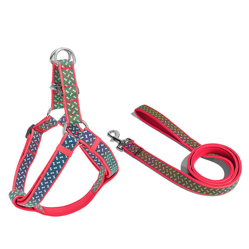 Tali Anjing Kerah Anjing Peliharaan Lembut Neoprene Aksesoris Hewan Peliharaan Reflektif Eksklusif Hewan Peliharaan Tali Harness Leash Set