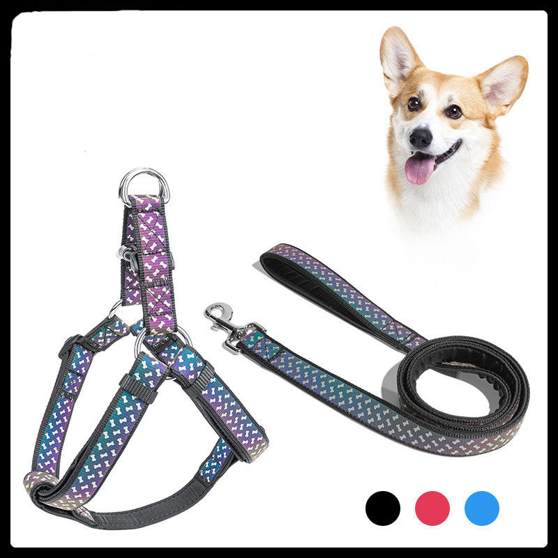 Tali Anjing Kerah Anjing Peliharaan Lembut Neoprene Aksesoris Hewan Peliharaan Reflektif Eksklusif Hewan Peliharaan Tali Harness Leash Set