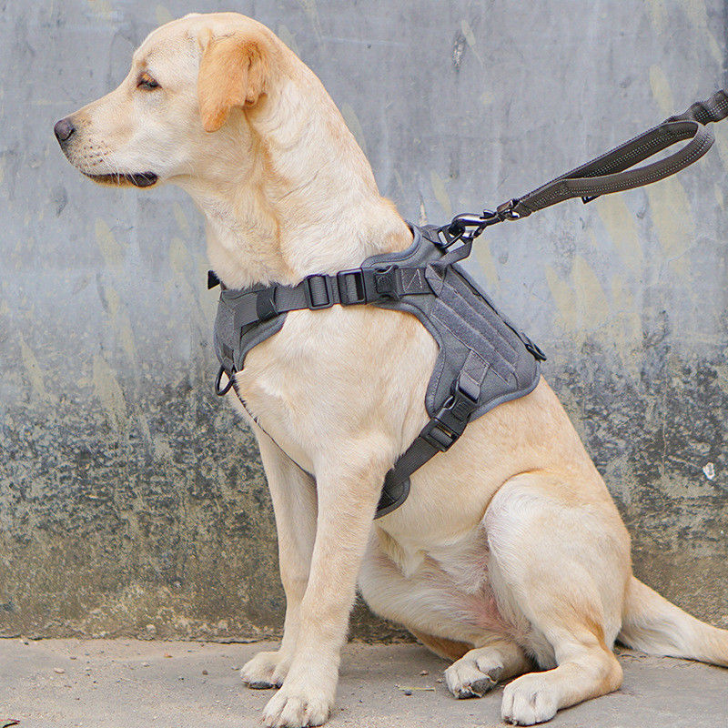 Rompi Militer Taktis Harness Anjing Dengan Gesper Taktis ODM Molle Safety untuk Layanan &amp; Pelatihan Rompi Anjing Militer