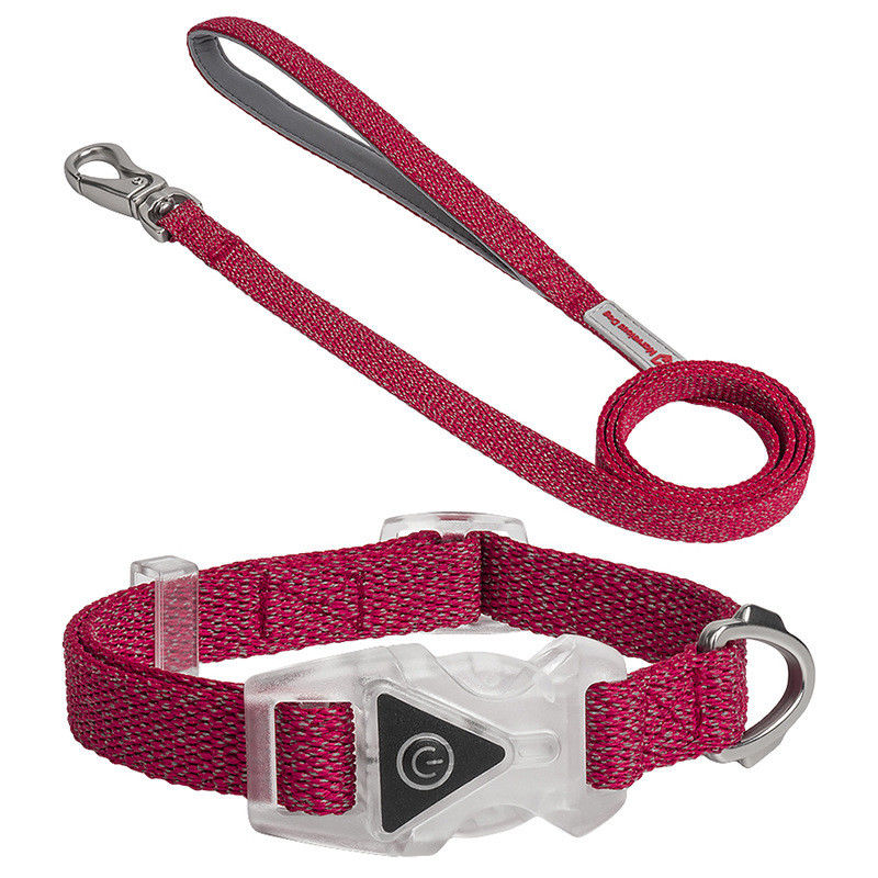Led Dog Pet Collars Leash Set Adjustable Dekoratif Tali Nilon Tali Anjing Tali Anjing Reflektif