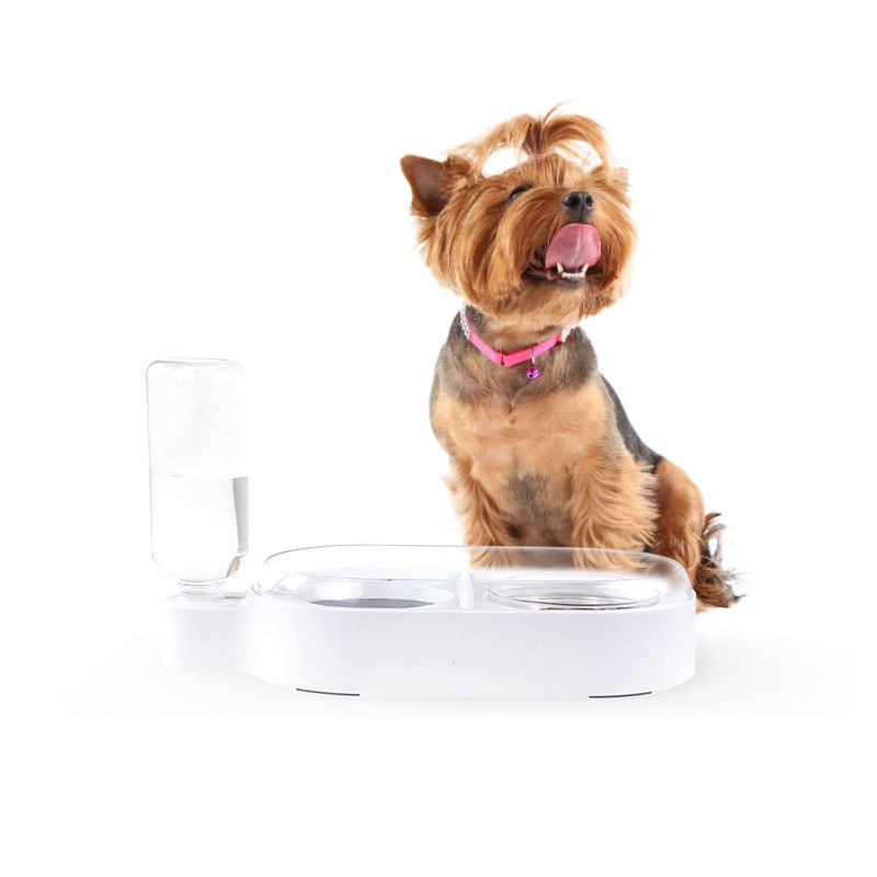 Profesional Otomatis Terisolasi Strake Spill Proof Dog Bowl 2 mangkuk pengumpan anjing