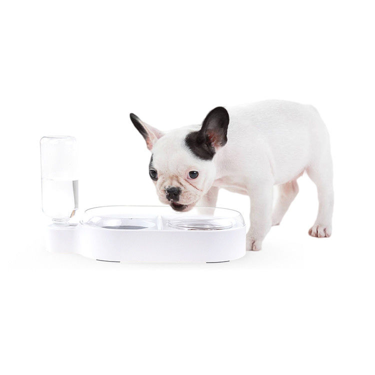 Profesional Otomatis Terisolasi Strake Spill Proof Dog Bowl 2 mangkuk pengumpan anjing