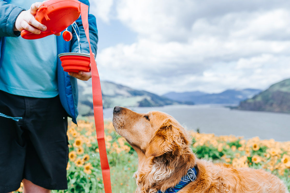 2021 BSCI Leash Dog Water Minum Botol 5 In 1 Dog Leash Dengan Botol Air