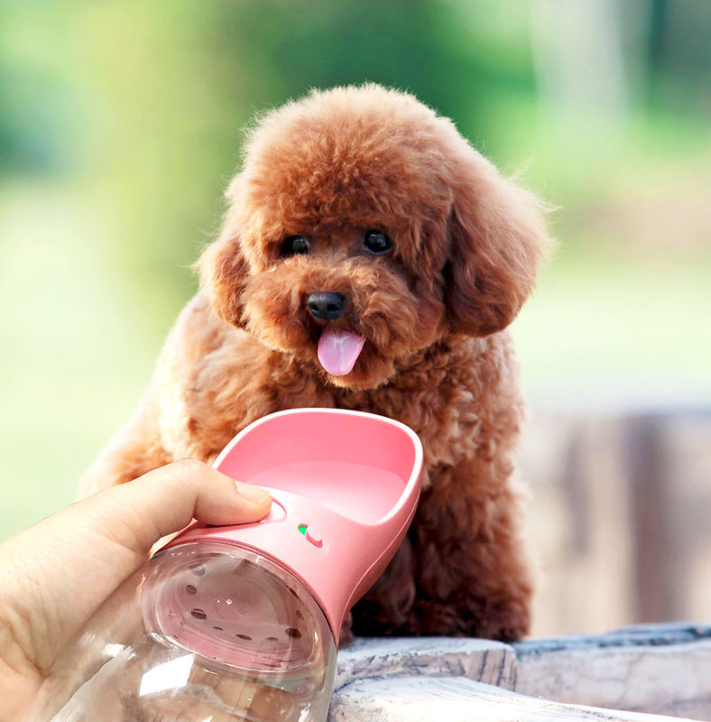 12-20OZ Drink Cup portabel Botol Air Anjing Lipat Untuk Berjalan
