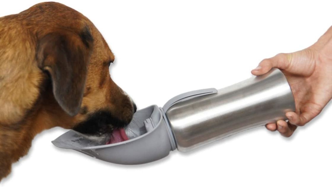 Stainless Travel Pets Dog Botol Air Panas Dengan Silicone Flip Up Bowl 42oz / 1200mL