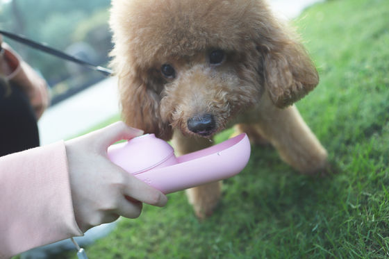 Dispenser Botol Air Anjing Lipat Merah Muda Anjing Kecil Mini Ketel Hewan Peliharaan Portabel